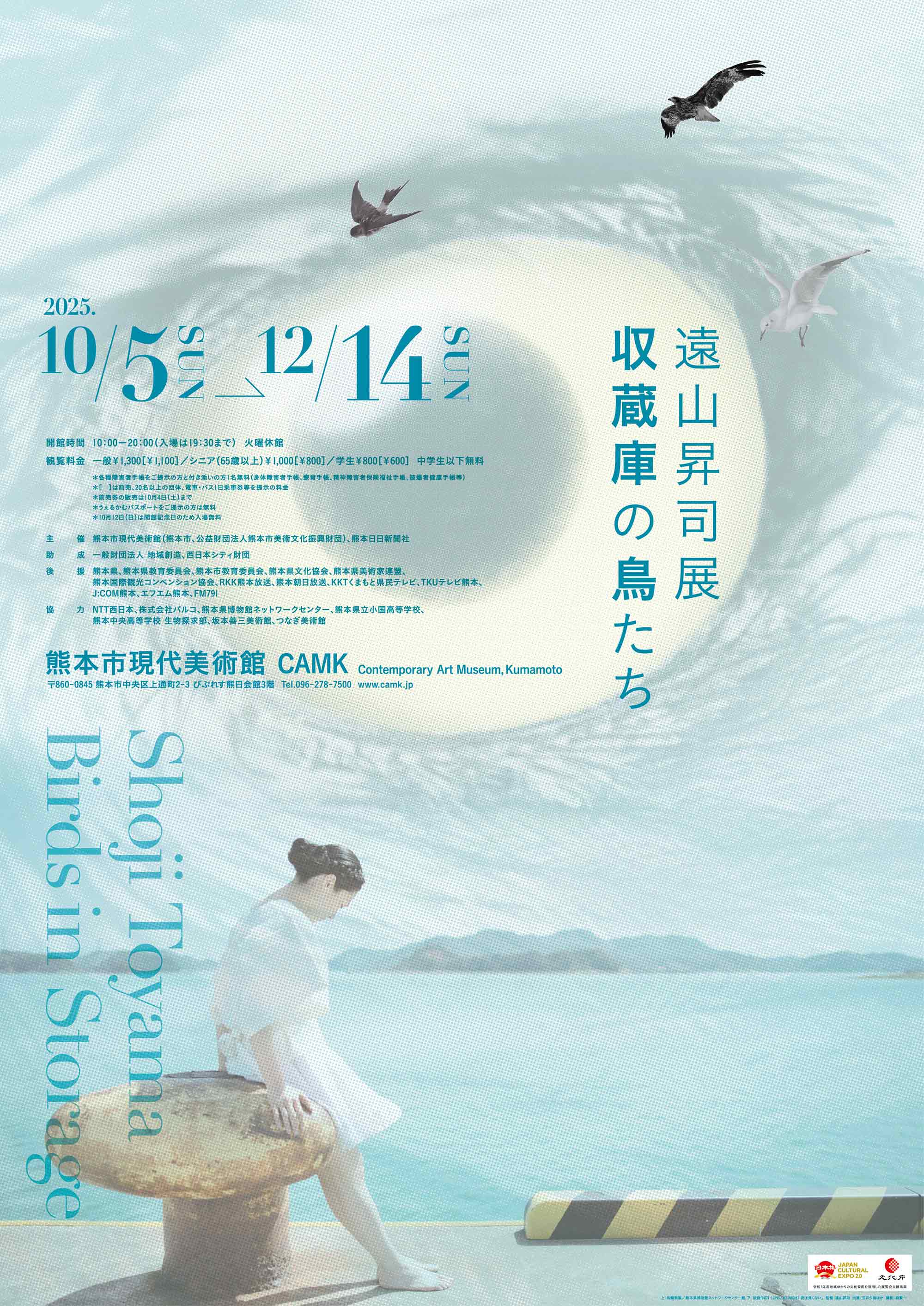 『遠山昇司展 収蔵庫の鳥たち』